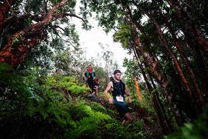 BIB: 
                            <button type="button" onclick="openModal(26202478)" class="btn btn-primary btn-sm float-right btn-popup" data-toggle="modal" data-target=".modal-high-quality">
                        <i class="fas fa-shopping-cart"></i> Add to Cart
                    </button>
                                            <button type="button" onclick="isThisMe(26202478, true)" class="btn btn-success btn-sm float-right btn-popup btn-isme hidden" data-toggle="tooltip" data-placement="bottom" title="นี่คือรูปของคุณใช่ไหม คลิกที่นี่เพื่อเอาเข้าอัลบั้ม">
                        <i class="fas fa-plus"></i> Add to album
                    </button>
                    <button type="button" onclick="isThisMe(26202478, false)" class="btn btn-warning btn-sm float-right btn-popup btn-isnotme hidden">
                        <i class="fas fa-ban"></i> Remove from album
                    </button>